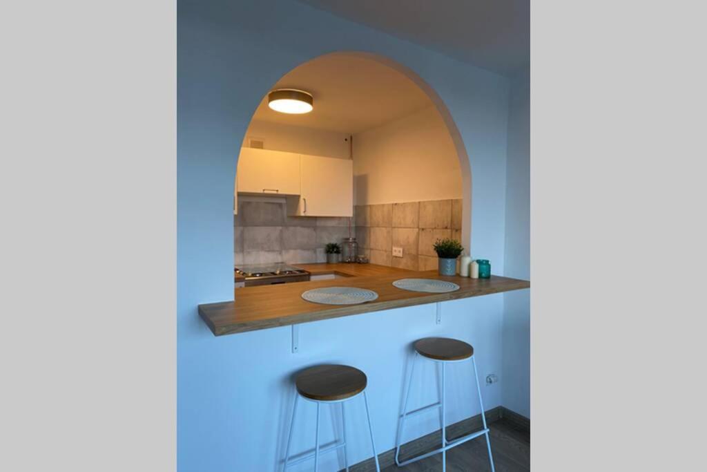 Modern Studio Apartment At Park&Stadium Near City Center Katowice Ngoại thất bức ảnh